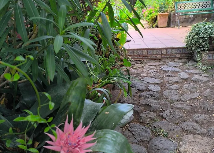 Casa Flora Garden El Sauzal