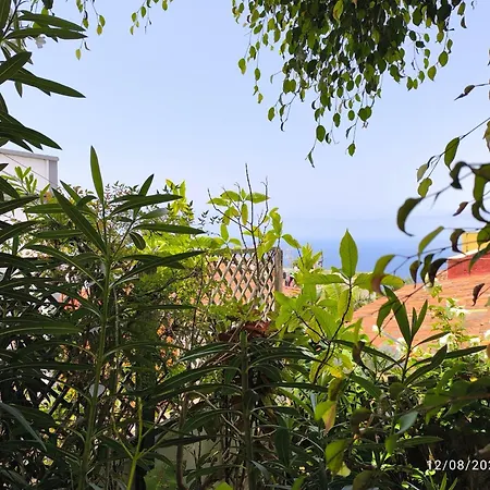 Casa Flora Garden דירה