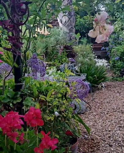 Casa Flora Garden El Sauzal