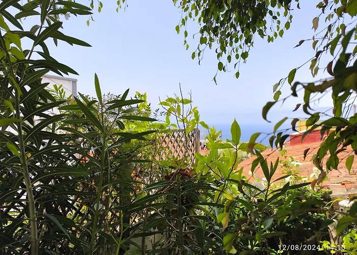 Casa Flora Garden Appartement