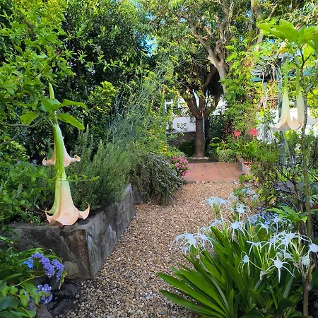 Casa Flora Garden Apartment *