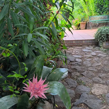 Casa Flora Garden Sauzal
