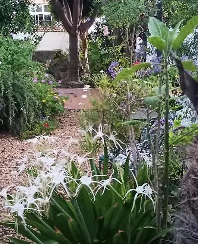 Casa Flora Garden * Sauzal