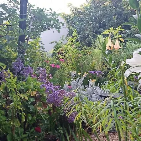 Apartament Casa Flora Garden *