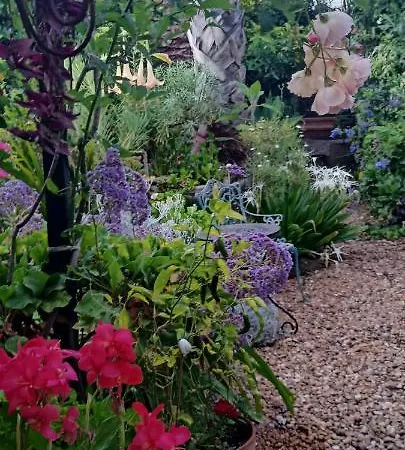 Casa Flora Garden Sauzal